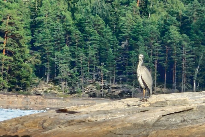 Scandtrack Kanutour Schweden 1000041335