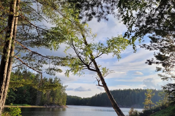 Scandtrack Kanutour Schweden 20250727194617