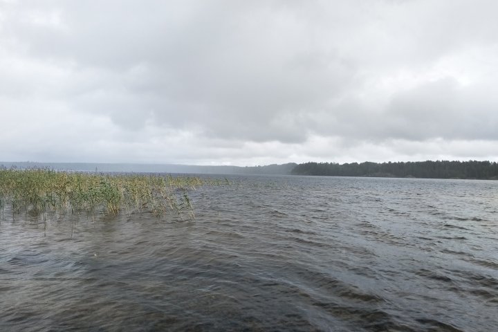 Scandtrack Kanutour Schweden IMG20250804115422