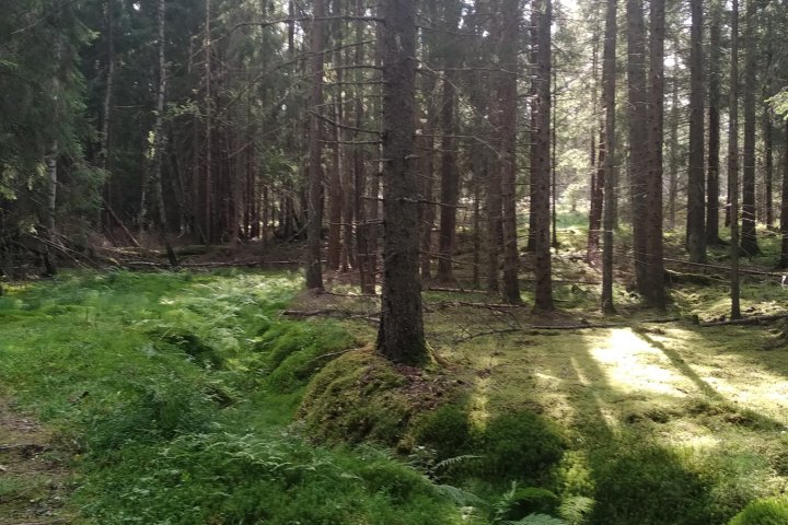 Scandtrack Kanutour Schweden IMG20250809170930