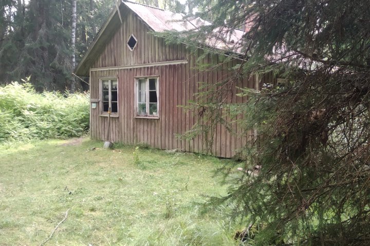 Scandtrack Kanutour Schweden IMG20250809171018