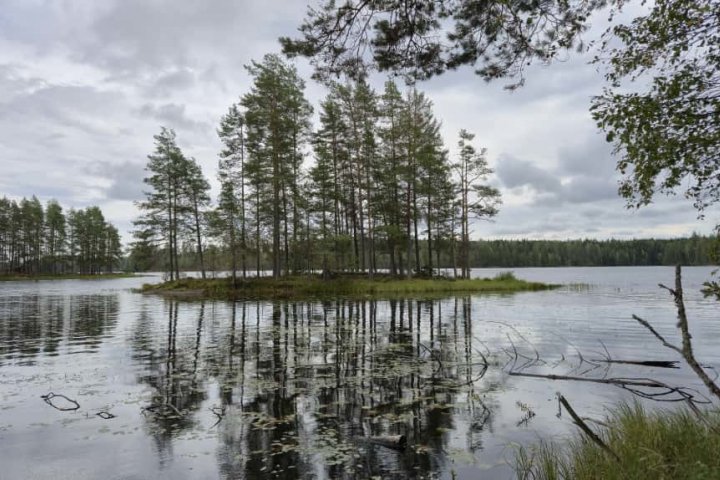 Scandtrack Kanutour Schweden WhatsApp-Image-2025-10-06-at-211617-1
