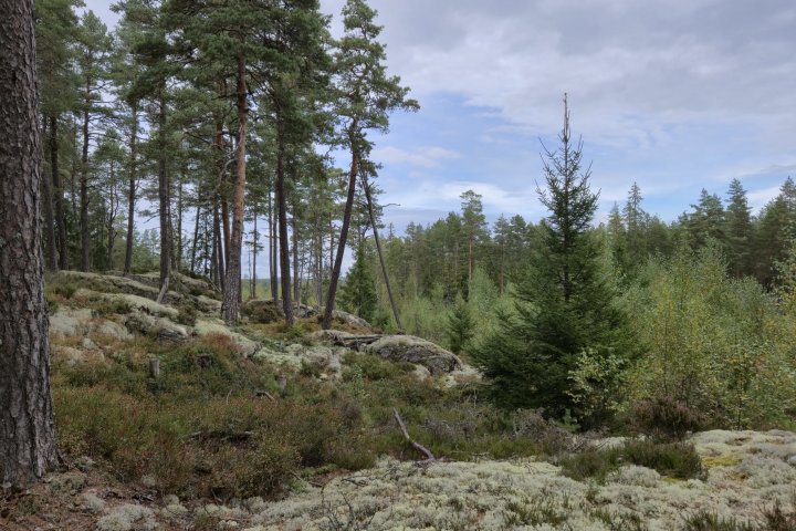Scandtrack Kanutour Schweden WhatsApp-Image-2025-10-06-at-211618-1