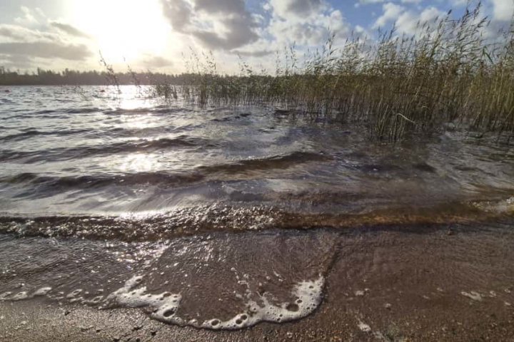 Scandtrack Kanutour Schweden WhatsApp-Image-2025-10-06-at-211622