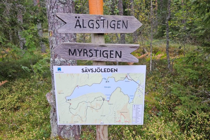 Scandtrack Kanutour Schweden WhatsApp-Image-2025-10-12-at-154541-2