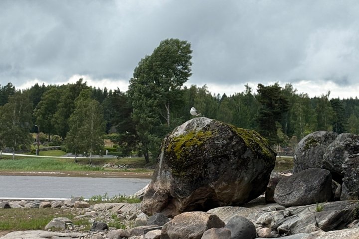 Scandtrack Kanutour Schweden IMG9262