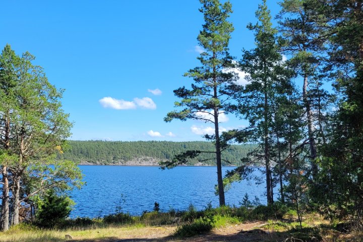 Scandtrack Kanutour Schweden 20250713144808