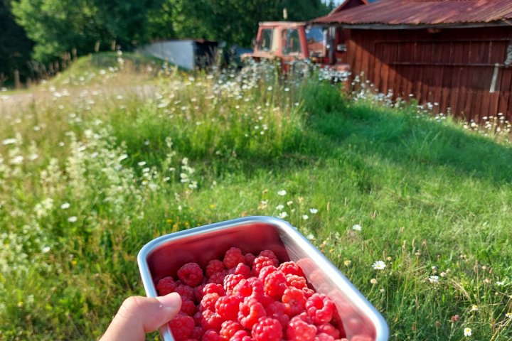 Scandtrack Kanutour Schweden 20250719180652