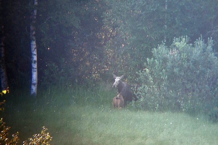Scandtrack Kanutour Schweden 20250718073922