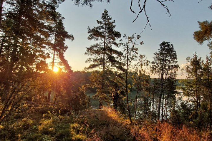 Scandtrack Kanutour Schweden 20250718052357
