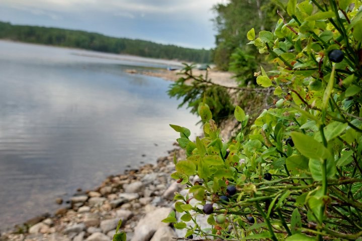 Scandtrack Kanutour Schweden 20250714203048