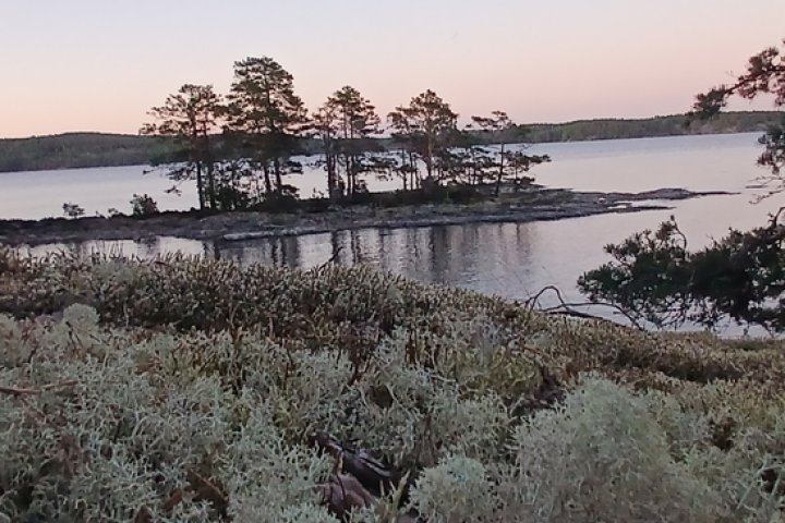 Scandtrack Kanutour Schweden 1000920631
