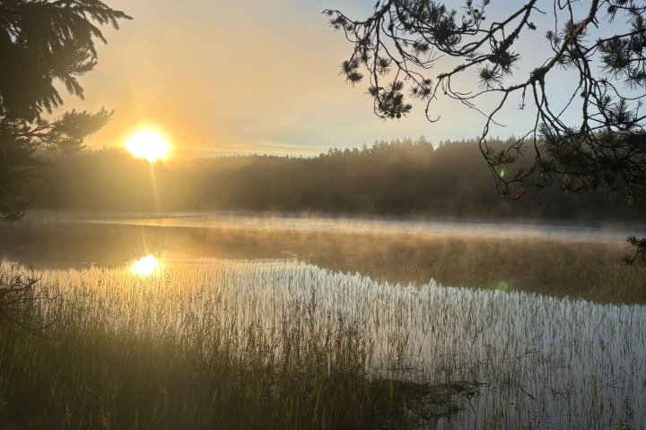Scandtrack Kanutour Schweden IMG-20260620-WA0042