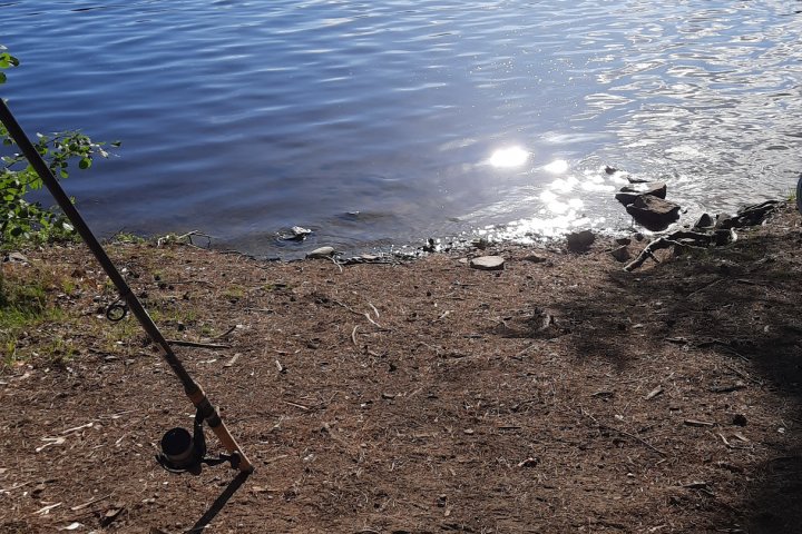 Scandtrack Kanutour Schweden IMG-20260616-WA0023