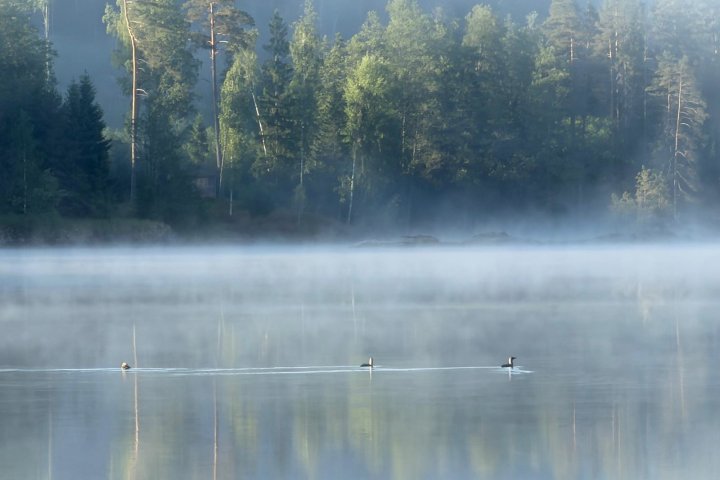 Scandtrack Kanutour Schweden IMG-20260616-WA0004