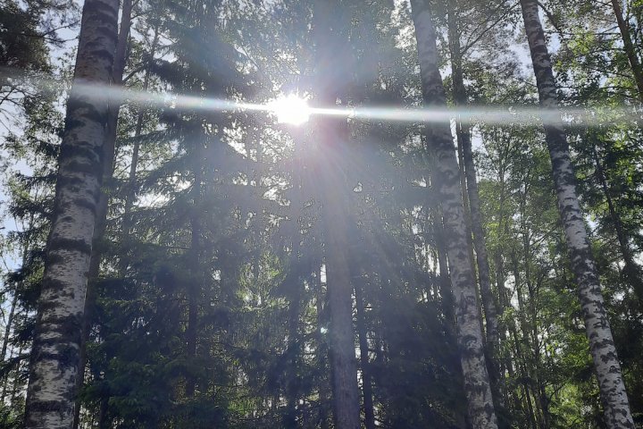 Scandtrack Kanutour Schweden 20260615092614