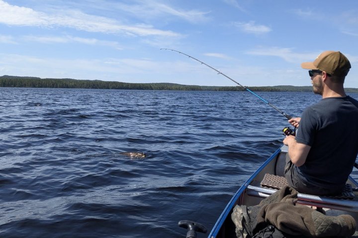 Scandtrack Kanutour Schweden IMG-20260529-WA0010