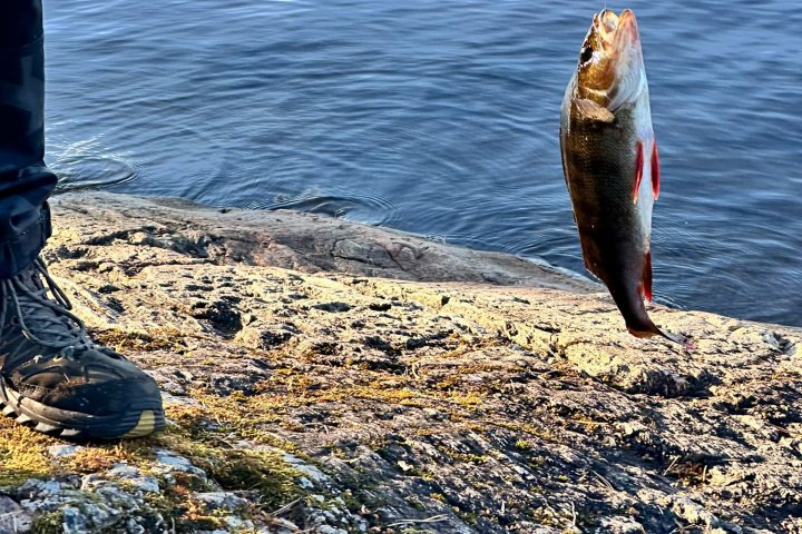 Scandtrack Kanutour Schweden inbound6159120302059256891