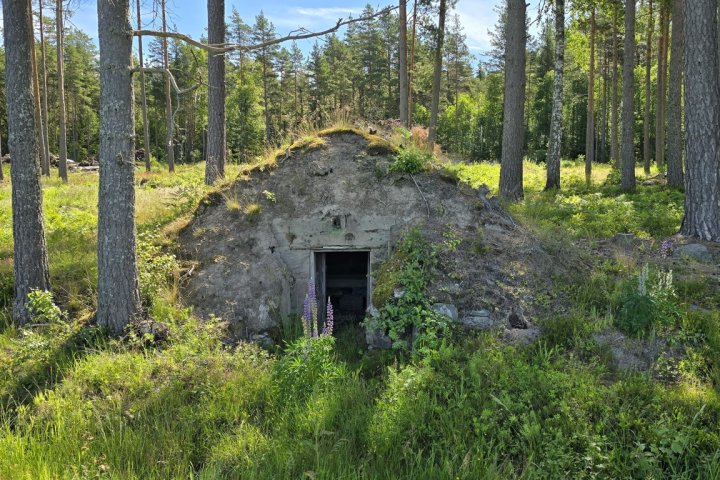 Scandtrack Kanutour Schweden 9aa70c19-0ba6-4034-9f72-90c519aa561b