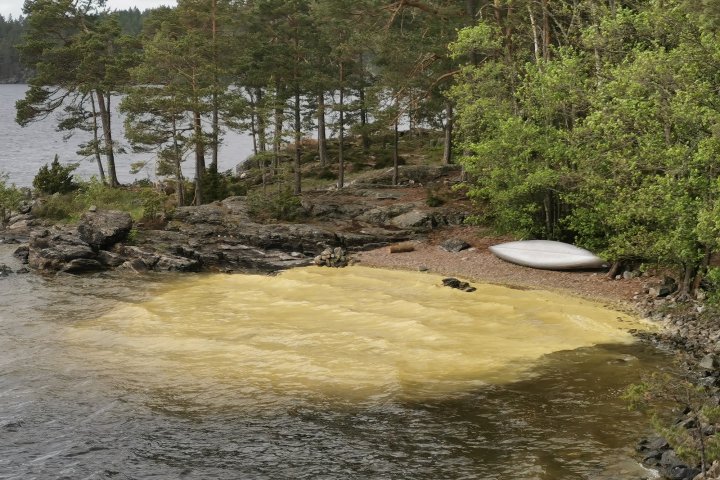 Scandtrack Kanutour Schweden 19