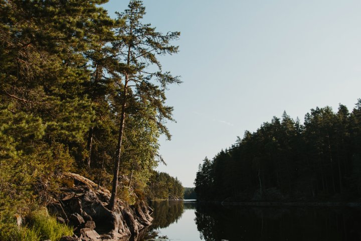 Scandtrack Kanutour Schweden 036A2640