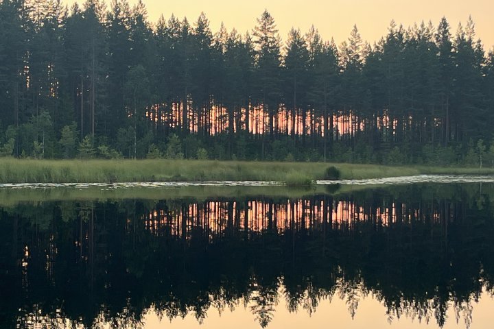 Scandtrack Kanutour Schweden 202607147