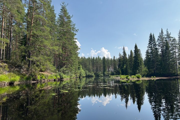 Scandtrack Kanutour Schweden IMG7346