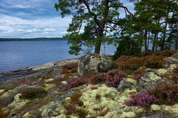 Scandtrack Kanutour Schweden 20260817125155