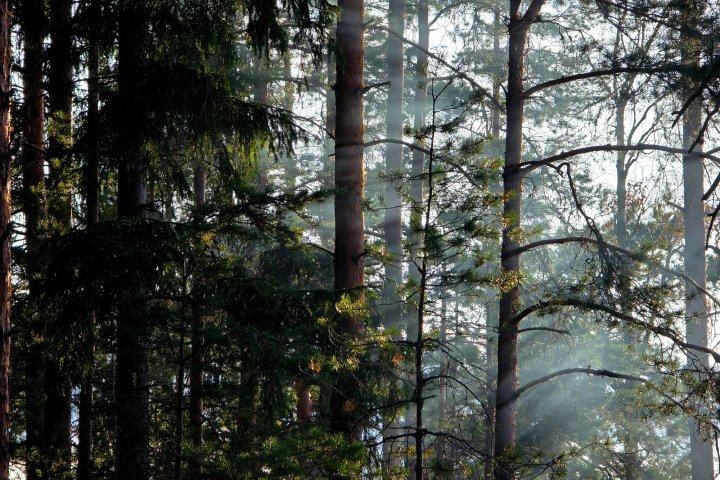 Scandtrack Kanutour Schweden 20260818185514