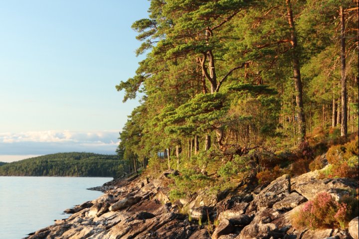 Scandtrack Kanutour Schweden IMG9990