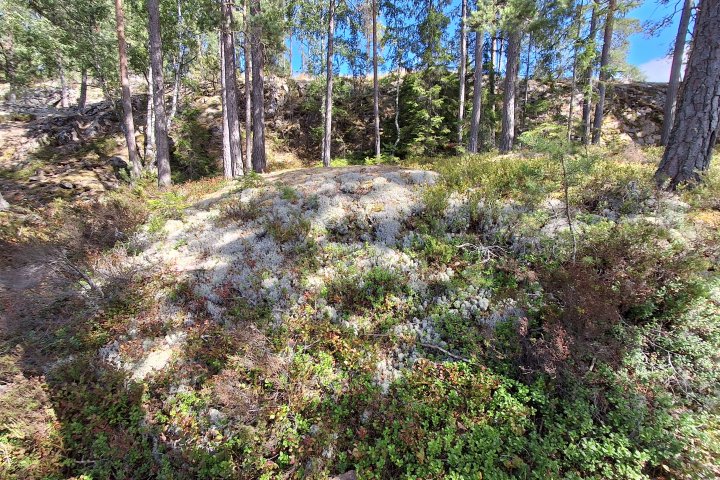 Scandtrack Kanutour Schweden 20260801141327