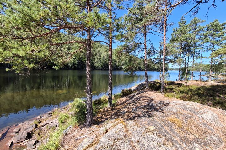 Scandtrack Kanutour Schweden 20260803131239