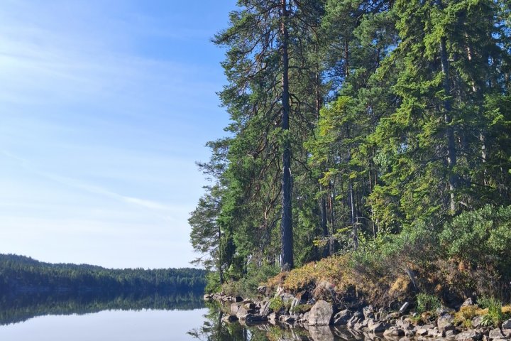 Scandtrack Kanutour Schweden 20260804094738