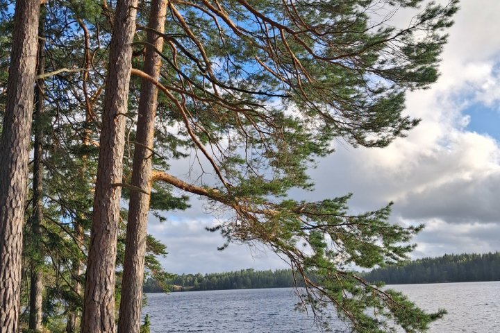 Scandtrack Kanutour Schweden 20260806191254