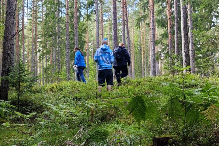 Scandtrack Kanutour Schweden 1000174569