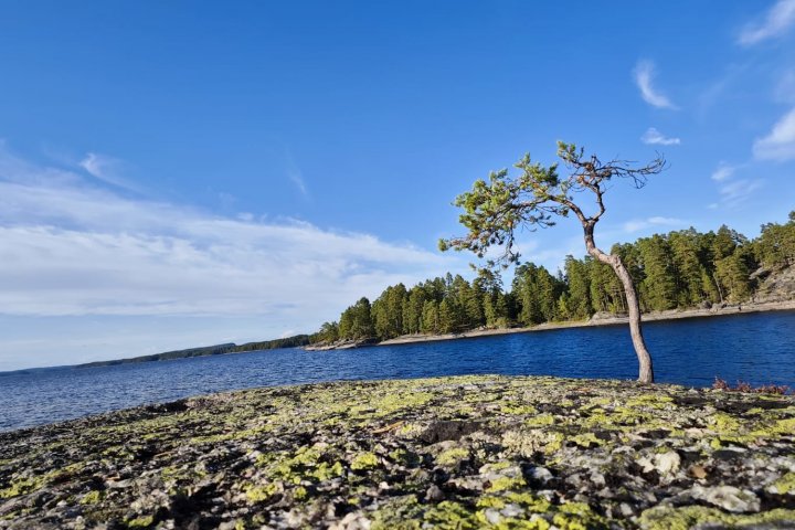 Scandtrack Kanutour Schweden 1000174790