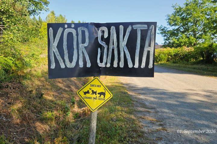 Scandtrack Kanutour Schweden 1000174924