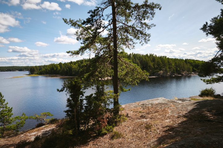 Scandtrack Kanutour Schweden inbound3756225261454774943