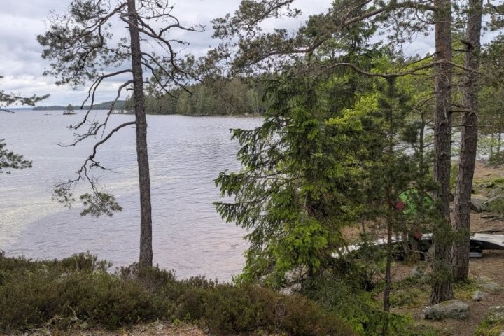 Scandtrack Kanutour Schweden PXL20260601164600059