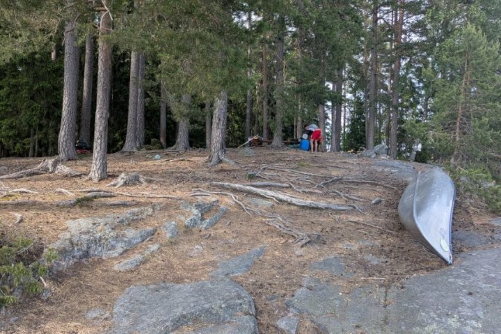 Scandtrack Kanutour Schweden PXL20260603133657949