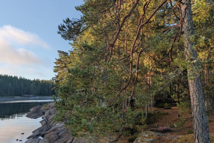 Scandtrack Kanutour Schweden 68848