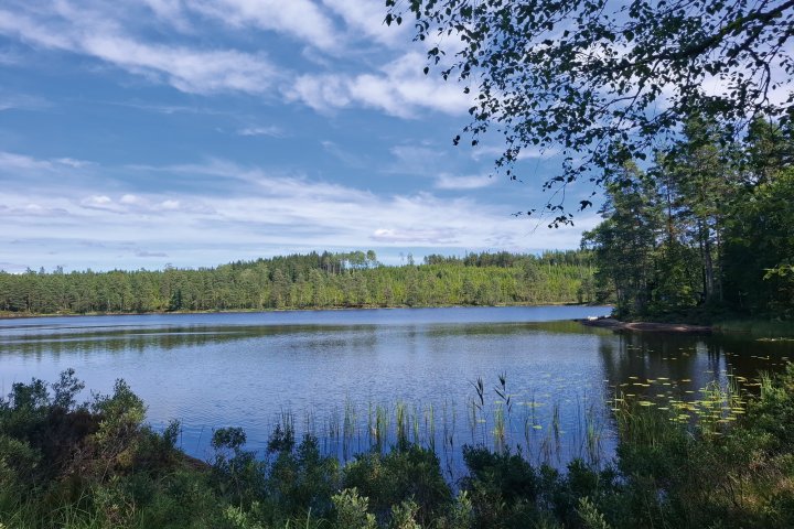 Scandtrack Kanutour Schweden 20260728142158