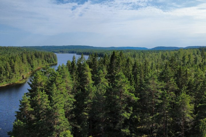 Scandtrack Kanutour Schweden djifly20260730164114551785520977240photooptimize