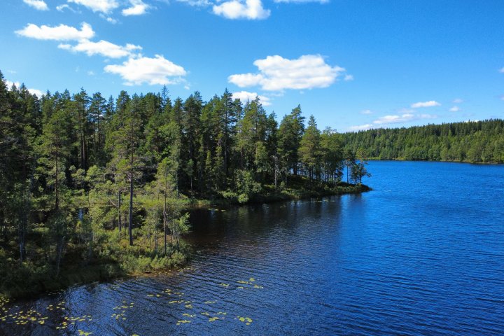 Scandtrack Kanutour Schweden djifly20260731130418661785520957469photooptimize