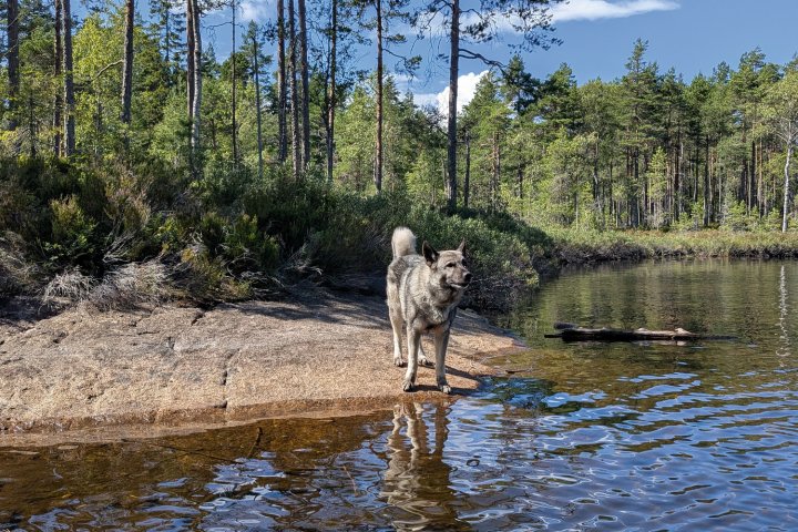 Scandtrack Kanutour Schweden PXL20260727124001447