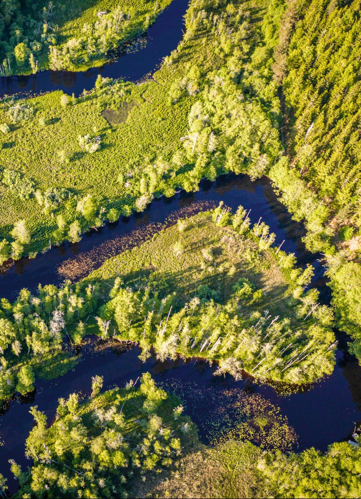 Scandtrack Kanutour Schweden DJI0293-h