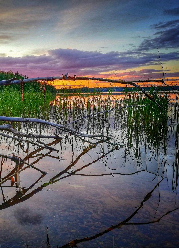 Scandtrack Kanutour Schweden IMG20190707220803-01-h